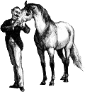 Horse and gentleman