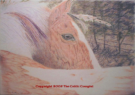 Horse colored pencil